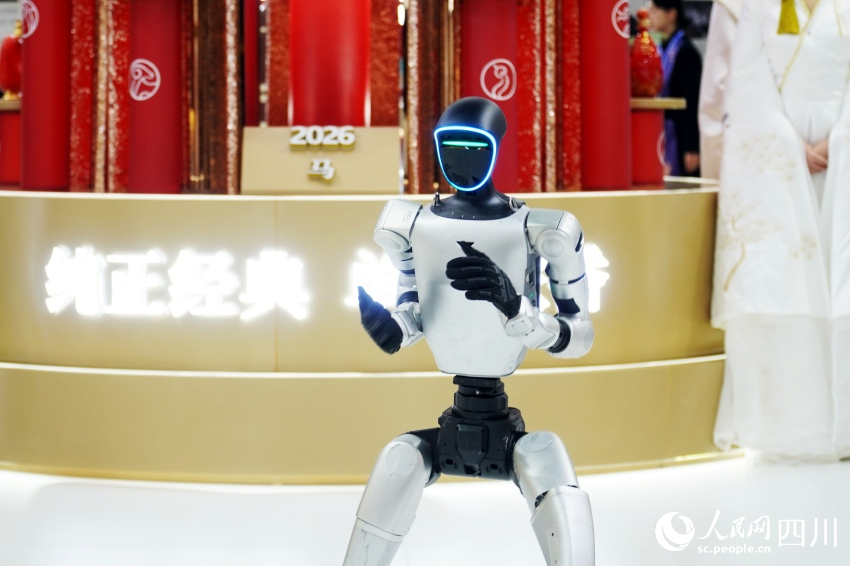 酒博会现场，机器人正在进行中华传统武术表演。人民网 赵祖乐摄