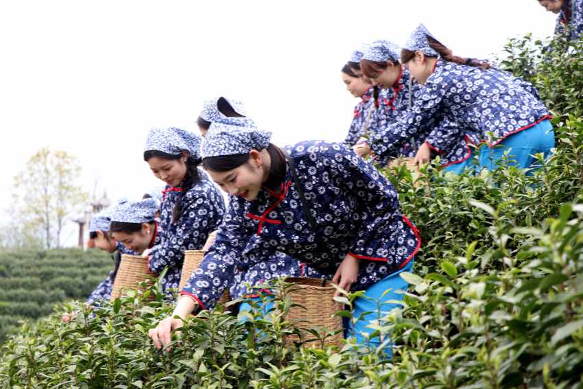 活动现场。主办方供图