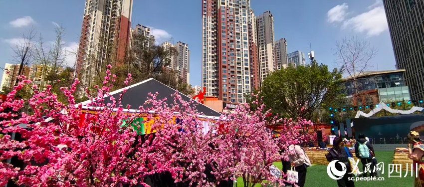 “桃花”盛放的东郊记忆景区。人民网记者 刘海天摄