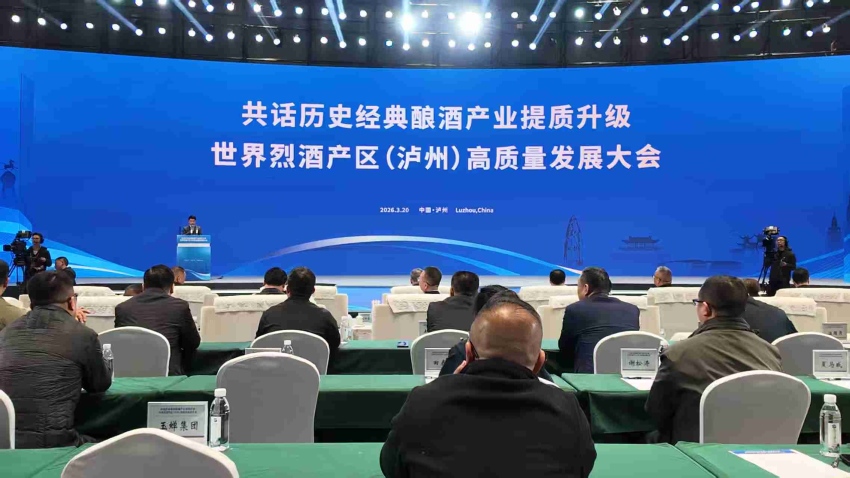 大會現場。伍晴攝