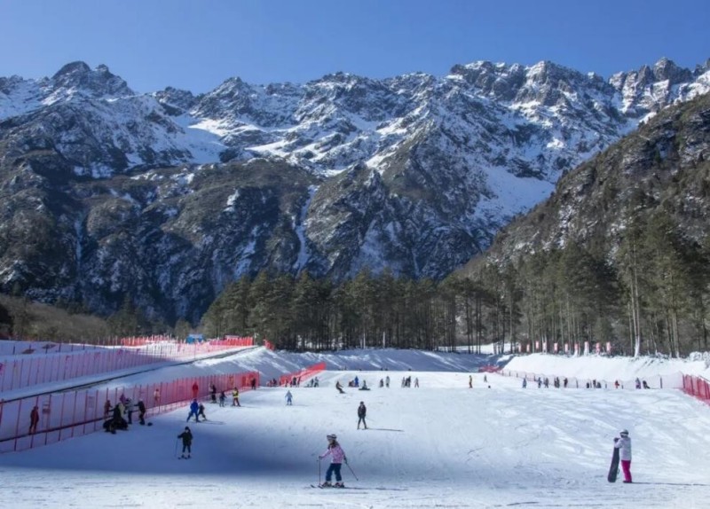 游客在滑雪场滑雪。主办方供图