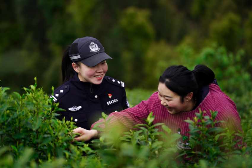 与茶农亲切交流。大竹县公安局供图