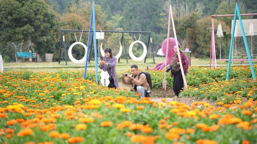 天府花溪。周希摄