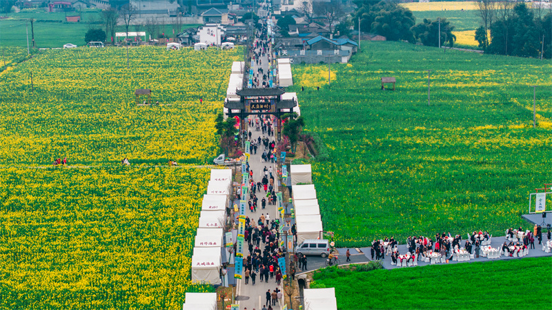 市民游客逛“村糖会”。崇州市融媒体中心供图