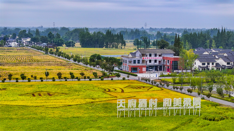 天府酒村。崇州市融媒体中心供图