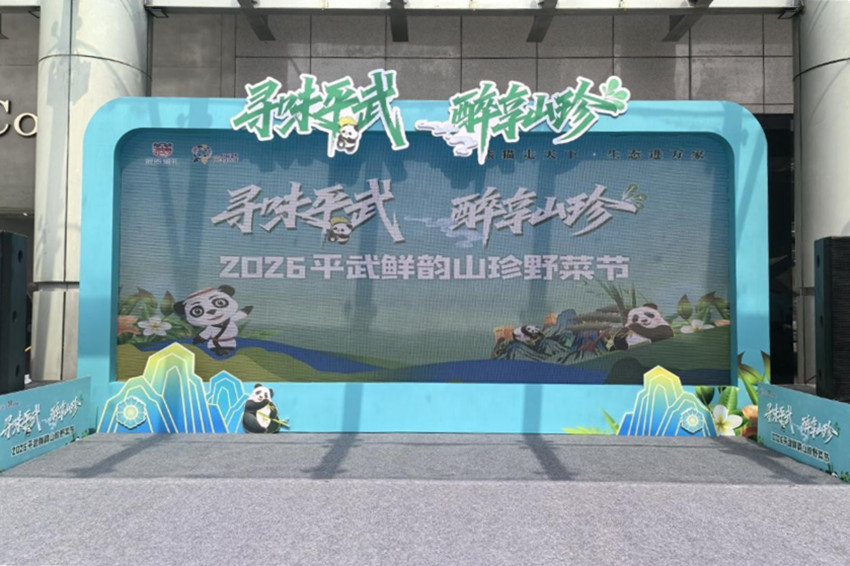 野菜節活動現場。主辦方供圖