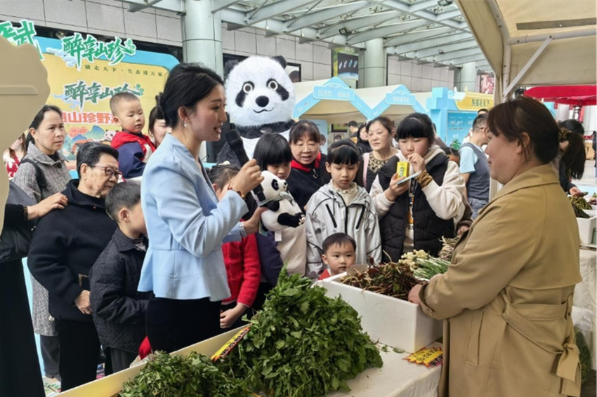 野菜節活動現場。主辦方供圖