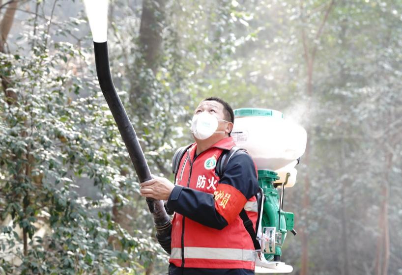 守山十载，“值”此青绿