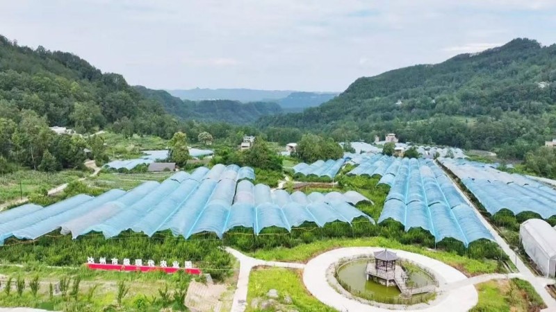现代农业园。工行四川省分行供图