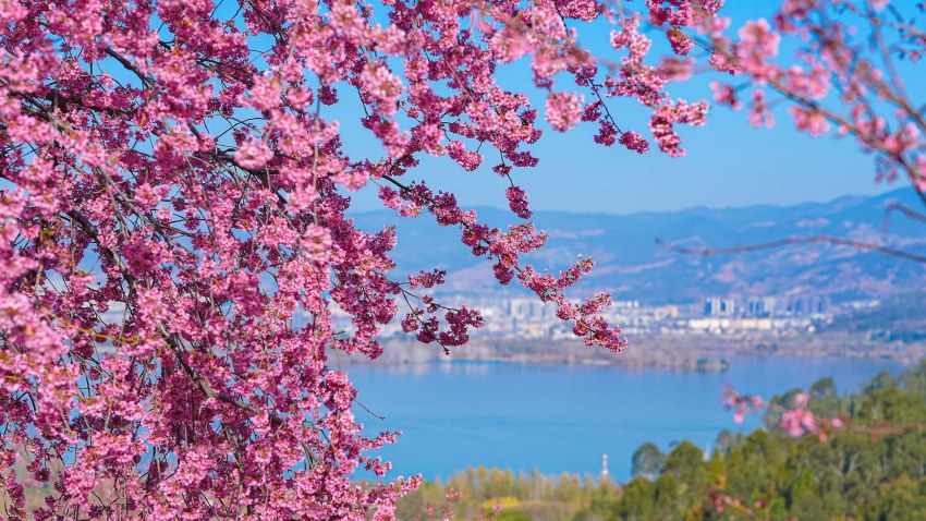 春日山湖。凉山州委宣传部供图