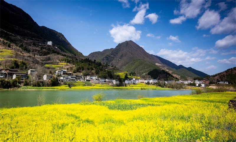 春色中的民居。李自公摄