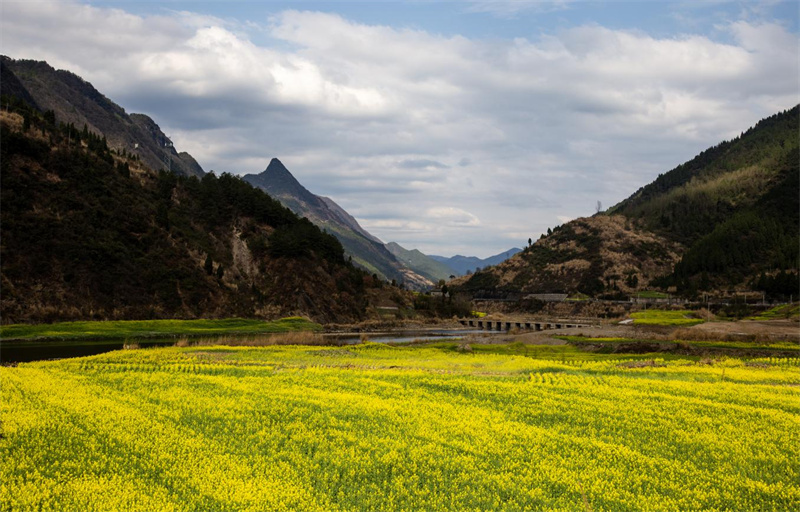 剑山下的油菜花。李自公摄