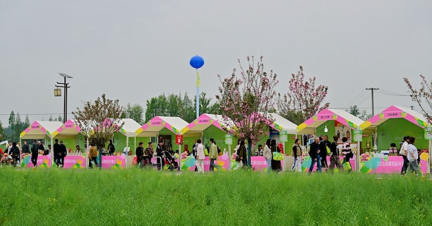 活动现场。主办方共图