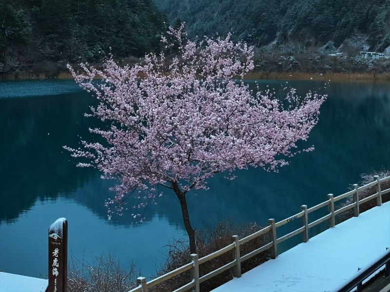 九寨沟景区老虎海。九管局供图