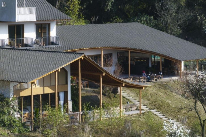 泸州不在山林。四川省文旅厅供图