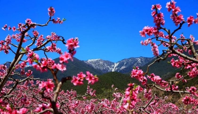 乡遇四川 跟着9条特色线路来“村游”