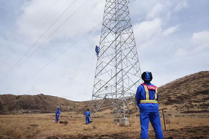 国网阿坝供电公司输电运检人员在110千伏月唐线安装人工鸟巢。张懿玲摄