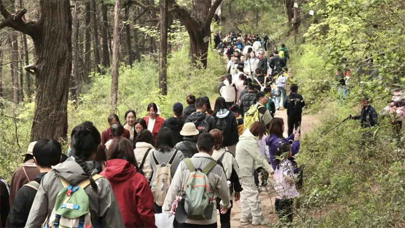 古蜀道徒步游持续火爆。阳林玥供图