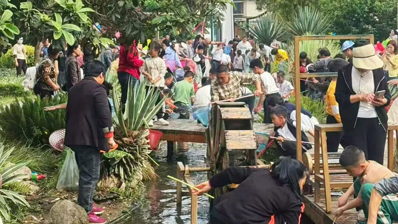 游客在竹里巷子浅池中捞鱼。吴敏摄