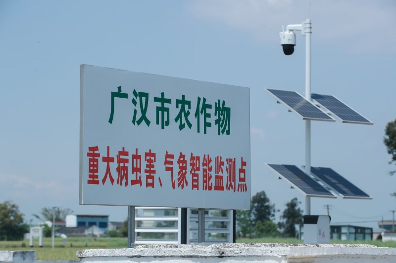 广汉市农作物智能监测点。孔继红供图