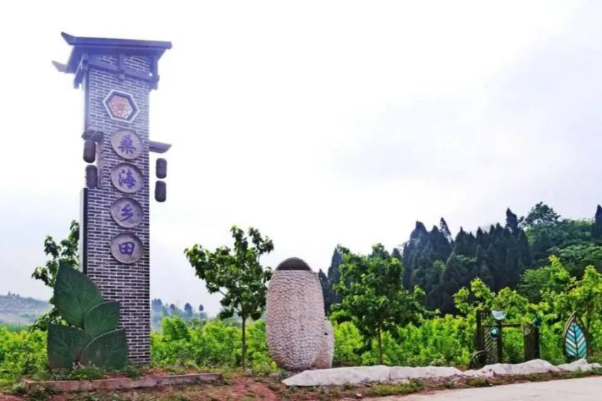 江源镇桑海乡田。简阳市融媒体中心供图