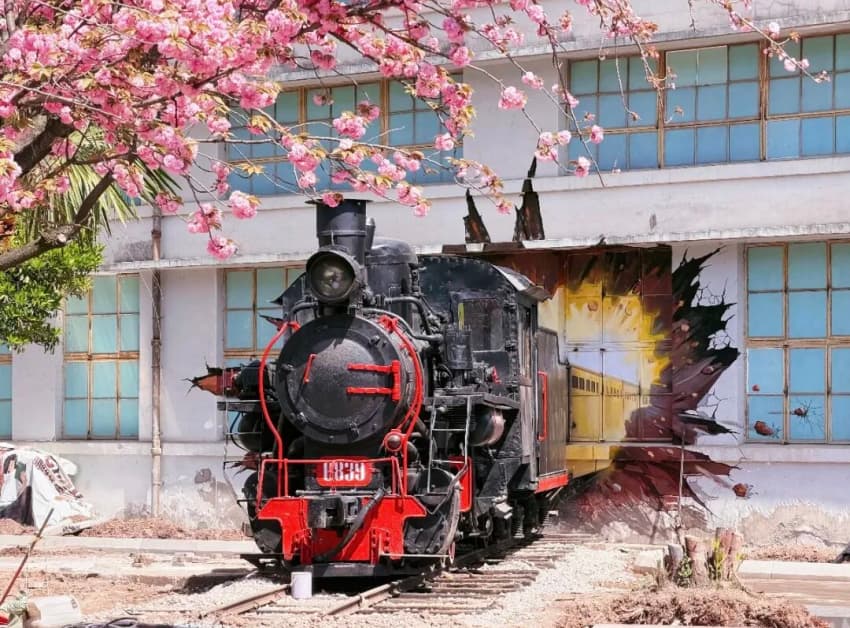 “工业锈带”变“文旅秀场”广元市利州区探索三线遗址活化利用新路径(图3)