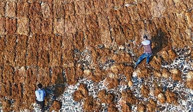 一张宣纸的诞生：108道工序