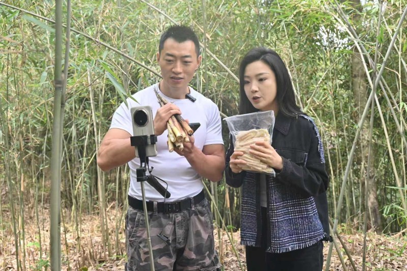 助农主播在竹林直播推介竹笋。朝天区融媒体中心供图
