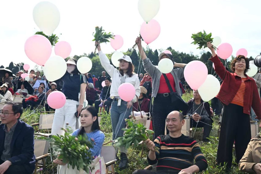 活动现场。中江县委宣传部供图