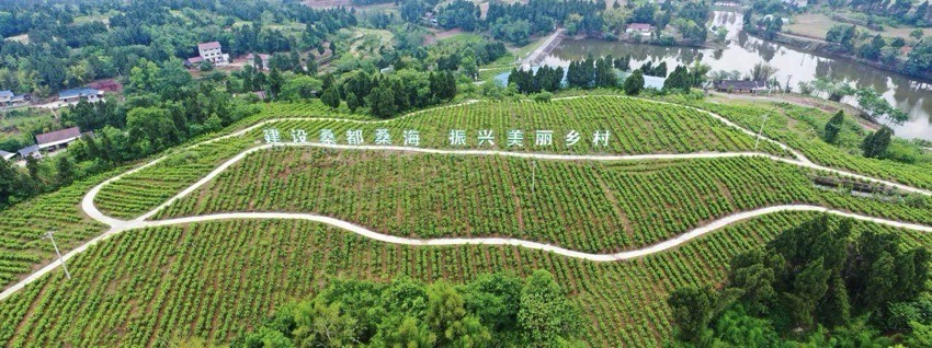 桑都桑海。姚阳摄