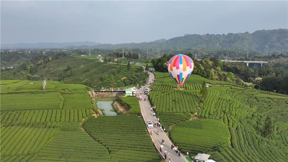 金融助力宜宾生态茶园文旅融合发展。名山融媒供图