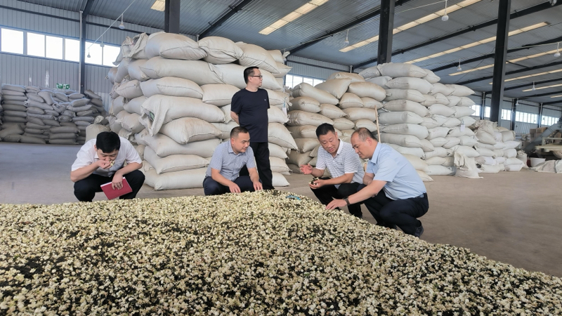金融服务下沉企业一线助乐山茉莉花茶产业发展。工行四川省分行供图