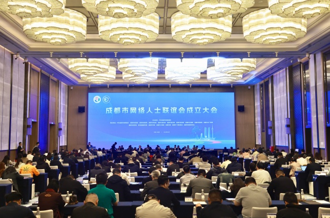 成都市网络人士联谊会成立大会现场。成都市委统战部供图