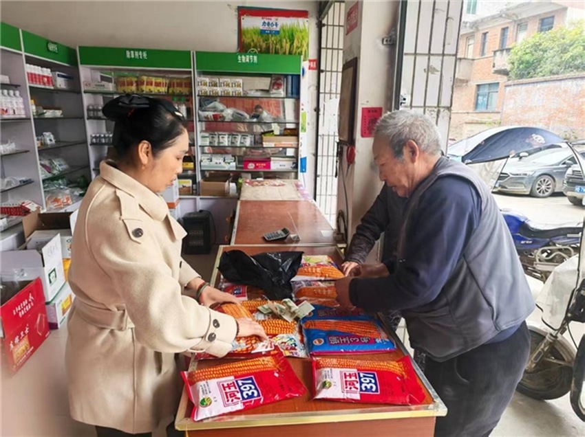 农户选购农资。贾海凡供图