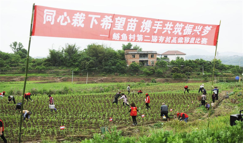 活動現場。秦藝丹供圖