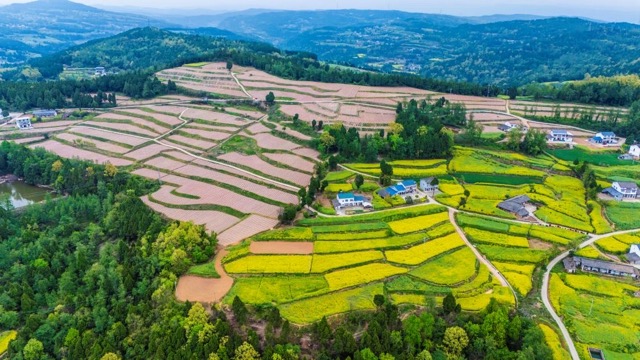 剑阁县“油烟”示范片鸟瞰图。剑阁县烟草专卖局供图
