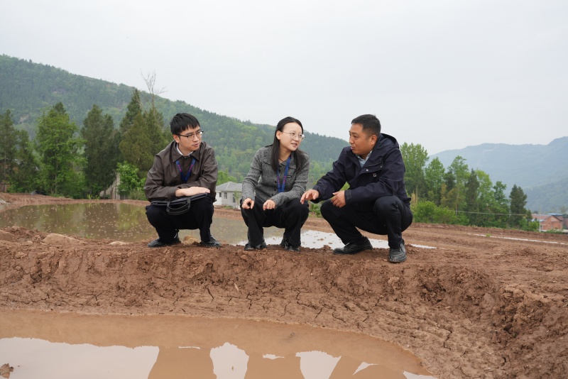工作人员实地查看清溪镇白鹤村高标准农田项目建设进度。杨涛摄 