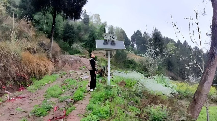 工作人员查看监测设备运行情况。通川区融媒体中心供图