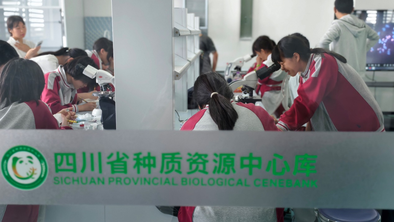 孩子们小心翼翼地操作显微镜。主办方供图