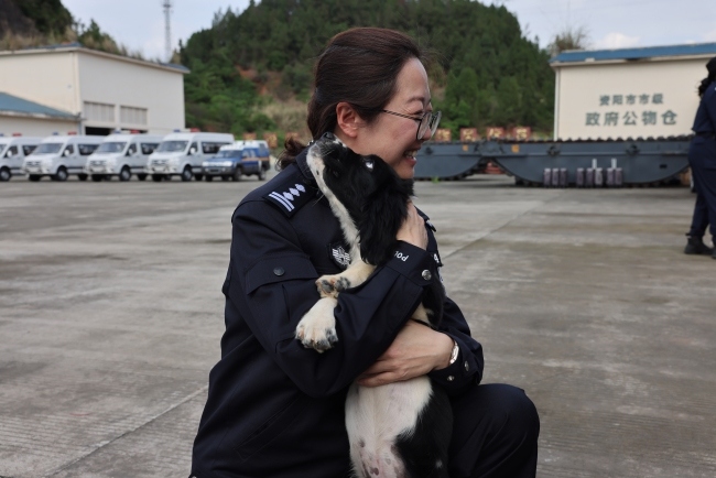 欧娟抱着刚入队的新警犬。资阳市公安局供图