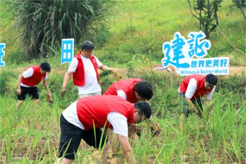志愿者开展义务耕种。中建深装西南分公司供图