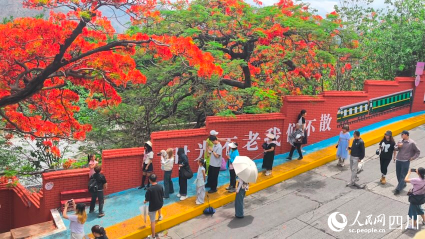 攀枝花西区玉泉街道春苗巷目前已成为颜值与温度并存的休憩空间。李兴雨摄