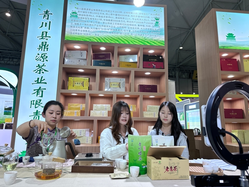 网络主播现场直播，推介青川茶叶。侯东 摄