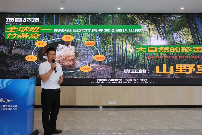 参赛项目展示。主办方供图