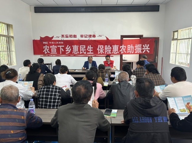雁江支公司在丹山镇玉皇村宣传农险。四川人保财险供图