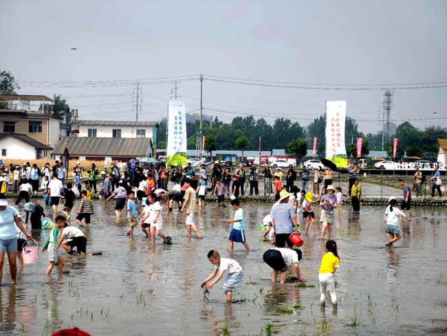 2026成都市温江区农优产品展示展销推介会暨开秧门农耕文化主题活动。主办方供图
