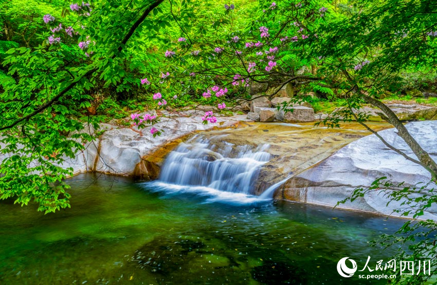 鲜花流水成诗意。人民网记者 刘海天摄