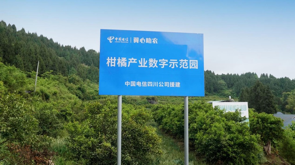 四川電信援建的柑橘產業數字示范園。四川電信供圖