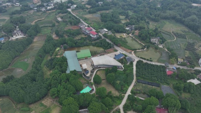 敘州區紅祿種植專業合作社。敘州區融媒體中心供圖