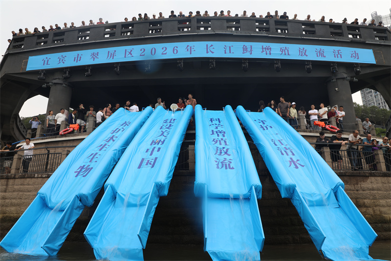 翠屏区开展2026年增殖放流活动。翠屏区融媒体中心供图
